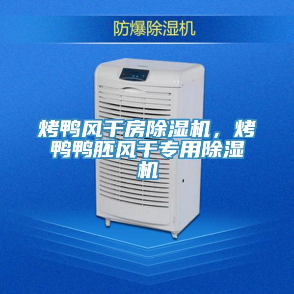 烤鴨風(fēng)干房除濕機(jī)，烤鴨鴨胚風(fēng)干專用除濕機(jī)