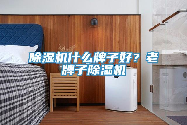 除濕機(jī)什么牌子好？老牌子除濕機(jī)