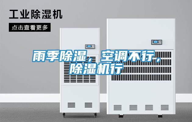 雨季除濕，空調(diào)不行，除濕機(jī)行