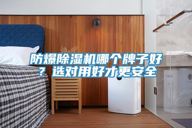 防爆除濕機(jī)哪個(gè)牌子好？選對(duì)用好才更安全