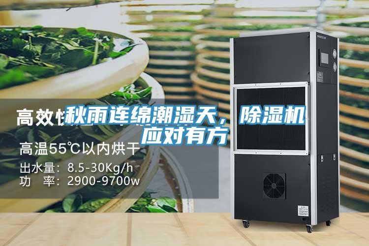 秋雨連綿潮濕天，除濕機(jī)應(yīng)對(duì)有方