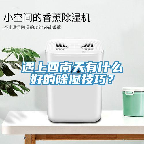 遇上回南天有什么好的除濕技巧？