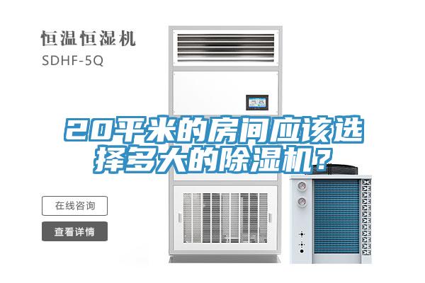 20平米的房間應(yīng)該選擇多大的除濕機(jī)？