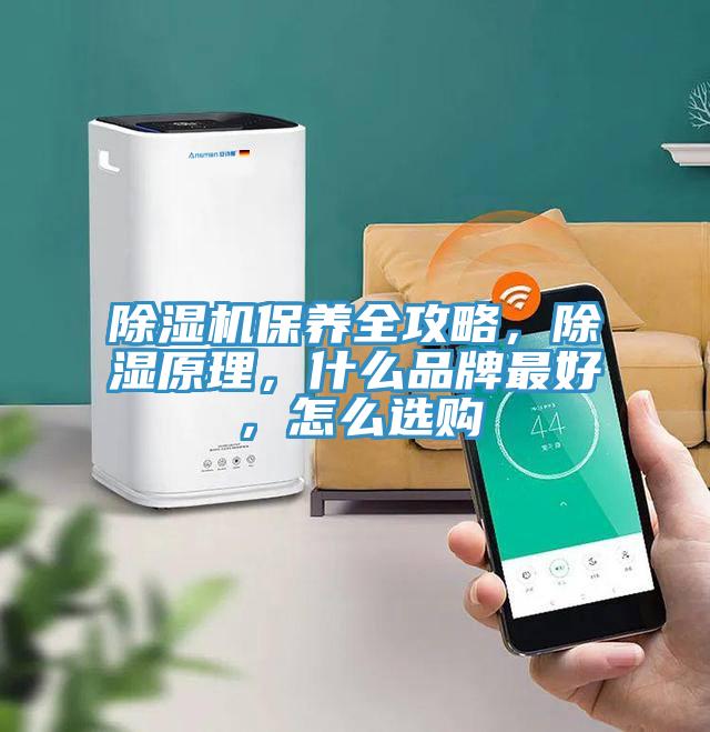 除濕機(jī)保養(yǎng)全攻略，除濕原理，什么品牌最好，怎么選購(gòu)