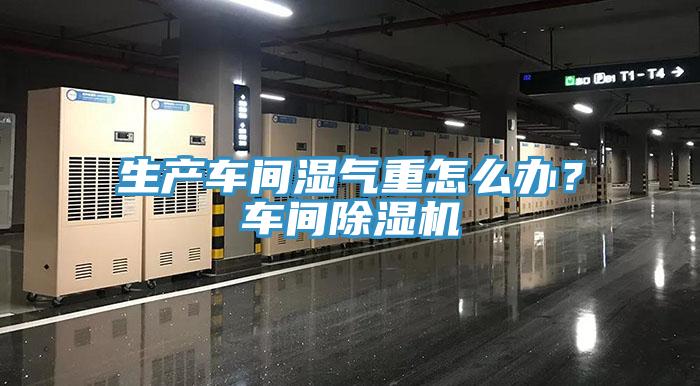 生產(chǎn)車間濕氣重怎么辦？車間除濕機(jī)