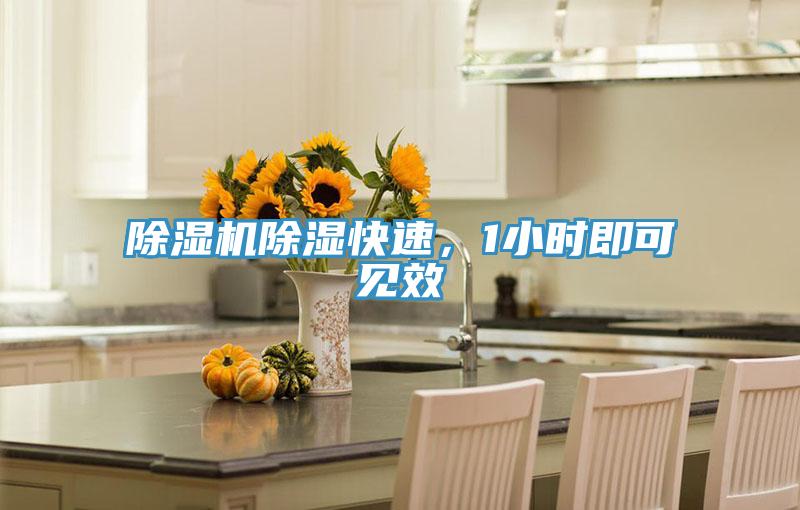 除濕機(jī)除濕快速，1小時(shí)即可見效