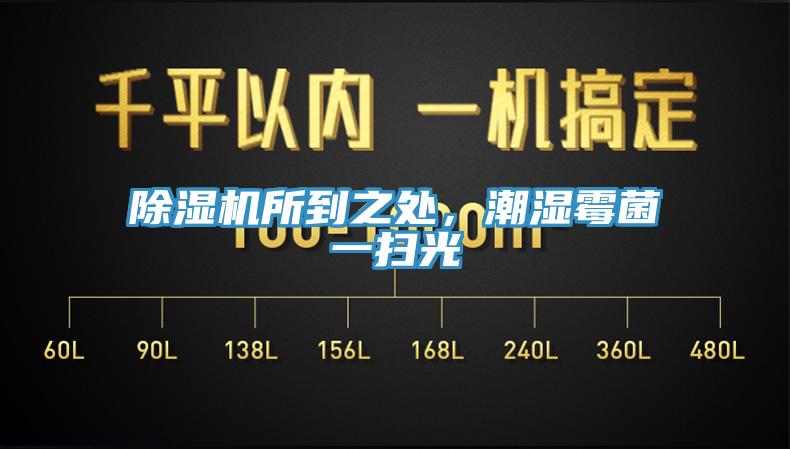 除濕機所到之處，潮濕霉菌一掃光