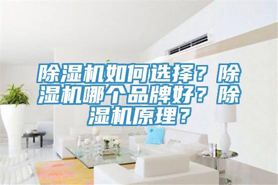 除濕機如何選擇？除濕機哪個品牌好？除濕機原理？