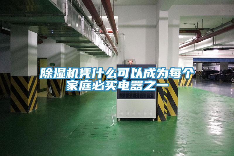 除濕機(jī)憑什么可以成為每個(gè)家庭必買電器之一