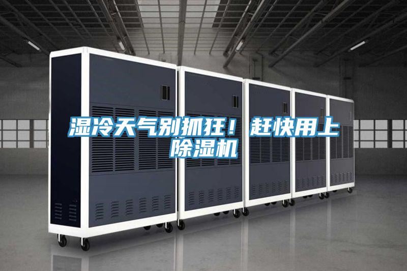 濕冷天氣別抓狂！趕快用上除濕機