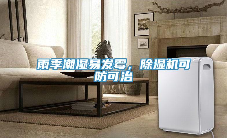 雨季潮濕易發(fā)霉，除濕機(jī)可防可治