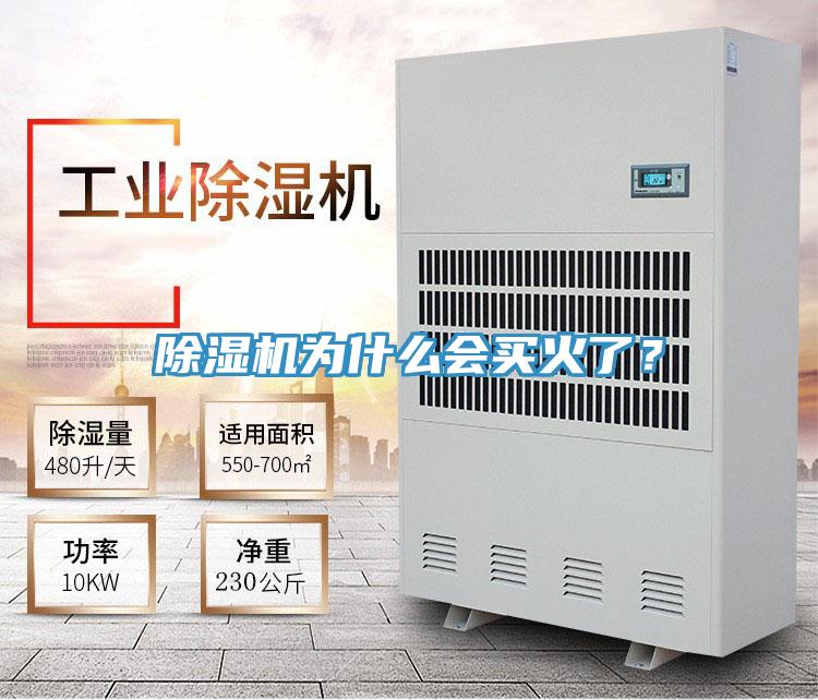 除濕機為什么會買火了？