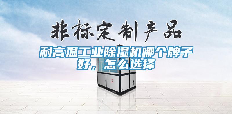 耐高溫工業(yè)除濕機(jī)哪個(gè)牌子好，怎么選擇