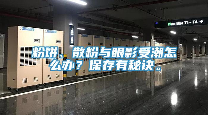 粉餅、散粉與眼影受潮怎么辦？保存有秘訣。