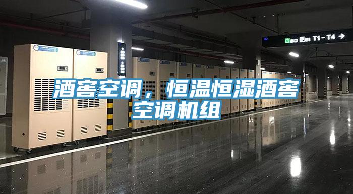 酒窖空調(diào)，恒溫恒濕酒窖空調(diào)機(jī)組