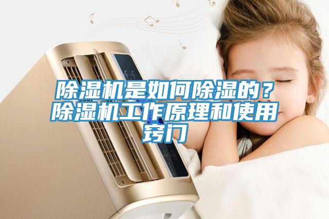 除濕機(jī)是如何除濕的？除濕機(jī)工作原理和使用竅門