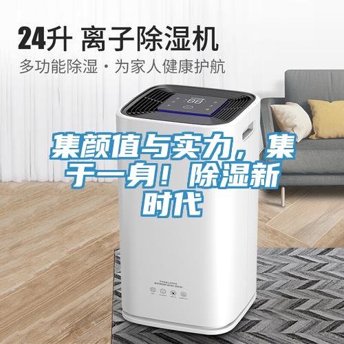 集顏值與實(shí)力，集于一身！除濕新時(shí)代