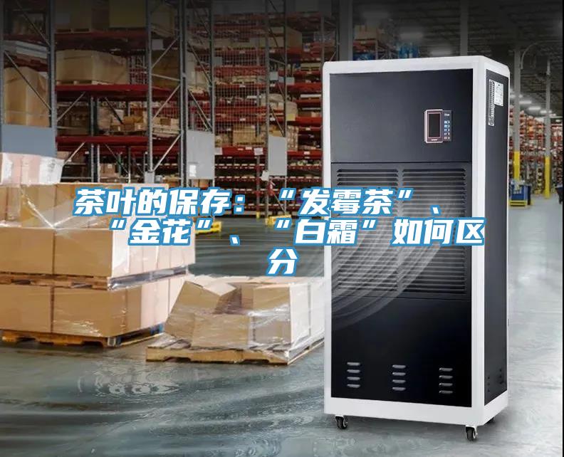茶葉的保存：“發(fā)霉茶”、“金花”、“白霜”如何區(qū)分