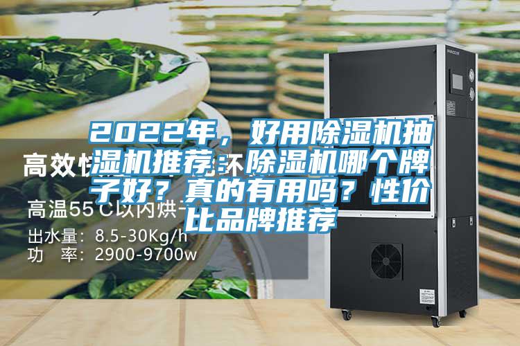 2022年，好用除濕機(jī)抽濕機(jī)推薦：除濕機(jī)哪個(gè)牌子好？真的有用嗎？性價(jià)比品牌推薦