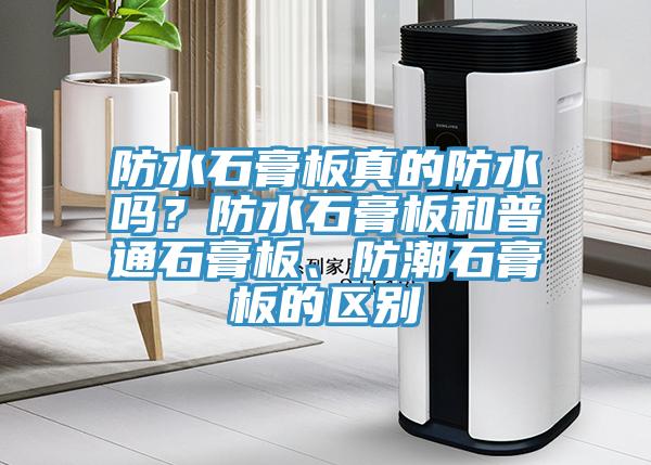 防水石膏板真的防水嗎？防水石膏板和普通石膏板、防潮石膏板的區(qū)別