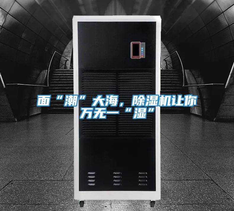 面“潮”大海，除濕機讓你萬無一“濕”