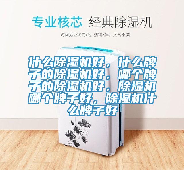 什么除濕機(jī)好，什么牌子的除濕機(jī)好，哪個牌子的除濕機(jī)好，除濕機(jī)哪個牌子好，除濕機(jī)什么牌子好