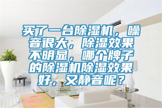 買了一臺除濕機，噪音很大，除濕效果不明顯，哪個牌子的除濕機除濕效果好，又靜音呢？