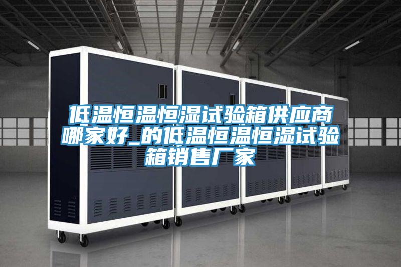 低溫恒溫恒濕試驗箱供應(yīng)商哪家好_的低溫恒溫恒濕試驗箱銷售廠家