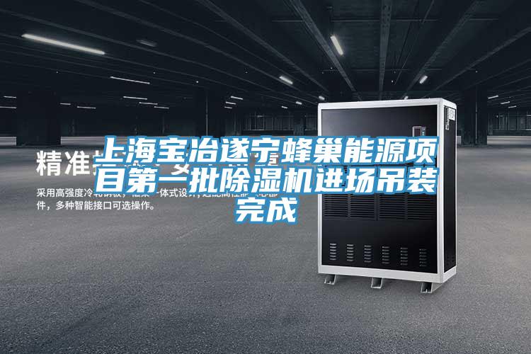 上海寶冶遂寧蜂巢能源項(xiàng)目第一批除濕機(jī)進(jìn)場吊裝完成