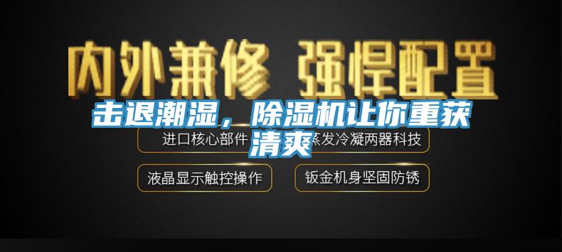 擊退潮濕，除濕機讓你重獲清爽