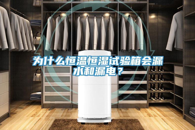 為什么恒溫恒濕試驗(yàn)箱會漏水和漏電？