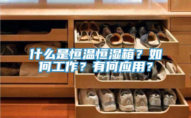 什么是恒溫恒濕箱？如何工作？有何應(yīng)用？