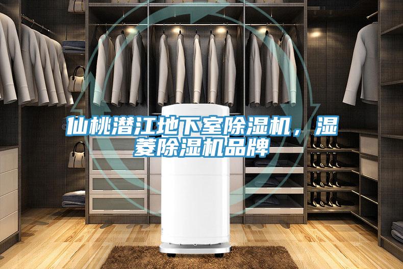 仙桃潛江地下室除濕機，濕菱除濕機品牌