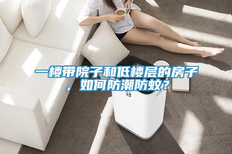 一樓帶院子和低樓層的房子，如何防潮防蚊？