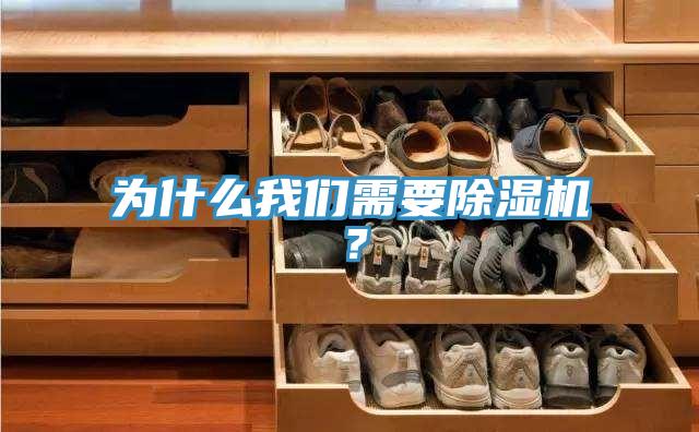 為什么我們需要除濕機？