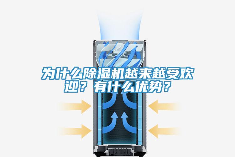 為什么除濕機越來越受歡迎？有什么優(yōu)勢？
