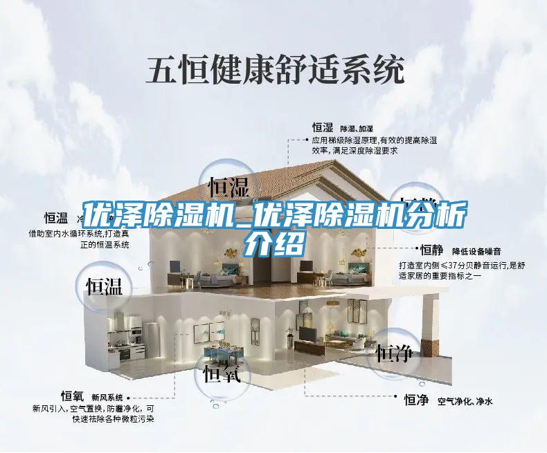 優(yōu)澤除濕機(jī)_優(yōu)澤除濕機(jī)分析介紹