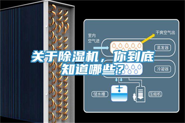 關于除濕機，你到底知道哪些？