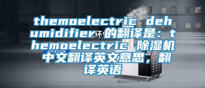 themoelectric dehumidifier 的翻譯是：themoelectric 除濕機 中文翻譯英文意思，翻譯英語