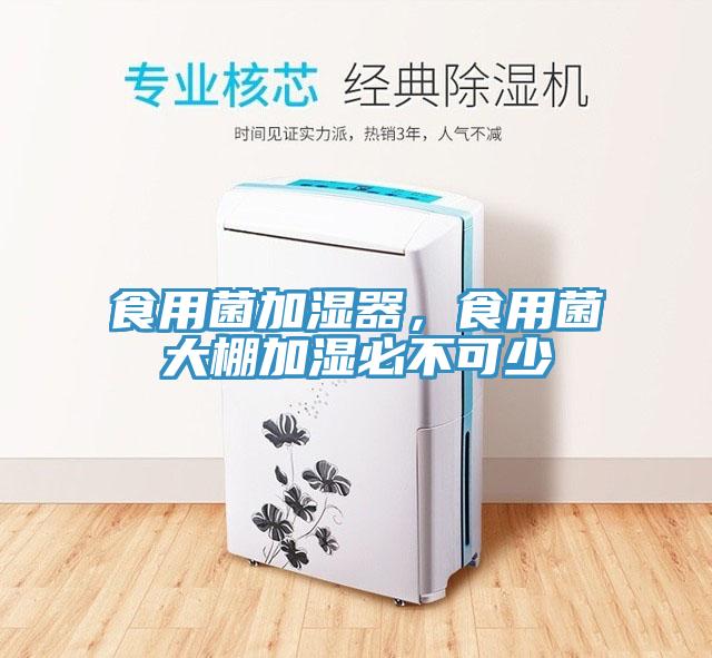 食用菌加濕器，食用菌大棚加濕必不可少