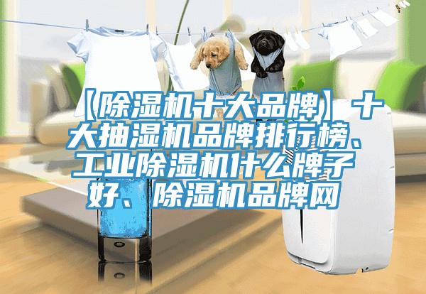 【除濕機十大品牌】十大抽濕機品牌排行榜、工業(yè)除濕機什么牌子好、除濕機品牌網(wǎng)