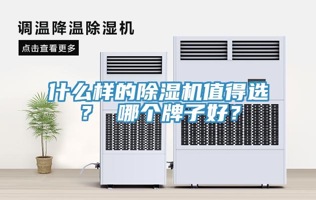什么樣的除濕機(jī)值得選？ 哪個牌子好？