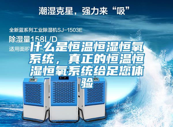什么是恒溫恒濕恒氧系統(tǒng)，真正的恒溫恒濕恒氧系統(tǒng)給足您體驗(yàn)