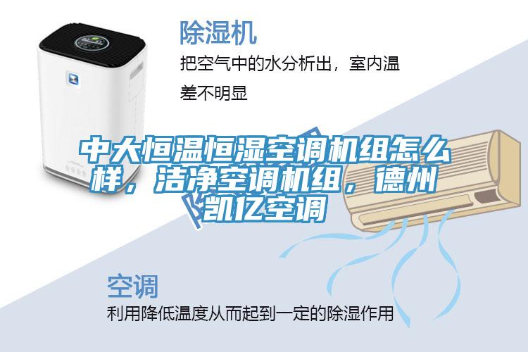 中大恒溫恒濕空調(diào)機(jī)組怎么樣，潔凈空調(diào)機(jī)組，德州凱億空調(diào)