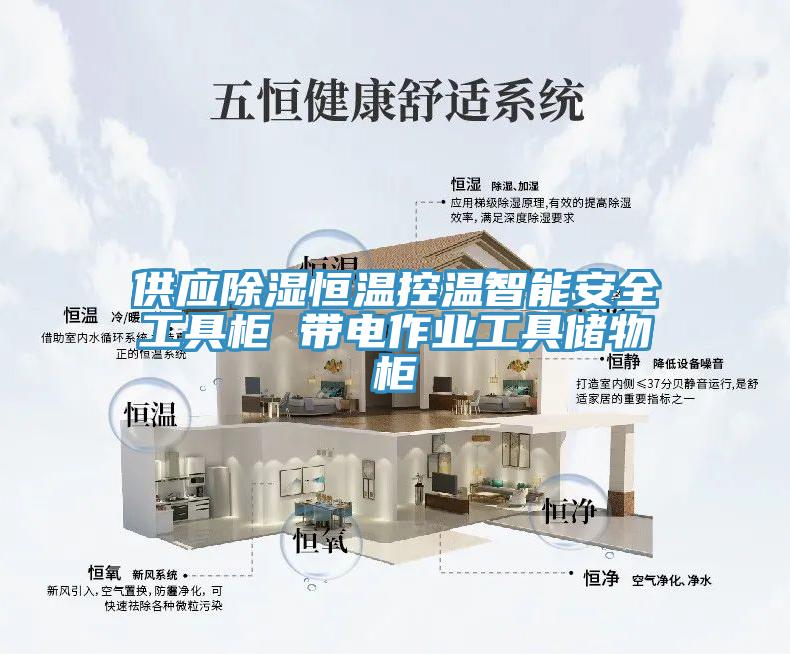 供應除濕恒溫控溫智能安全工具柜 帶電作業(yè)工具儲物柜
