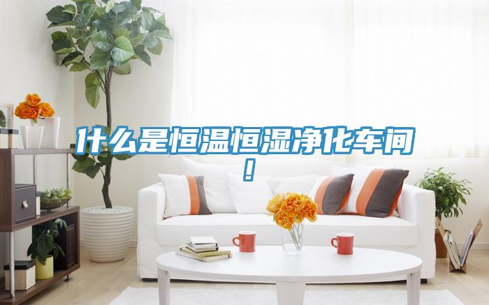 什么是恒溫恒濕凈化車間！