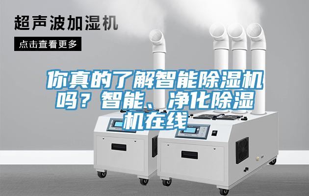 你真的了解智能除濕機嗎？智能、凈化除濕機在線