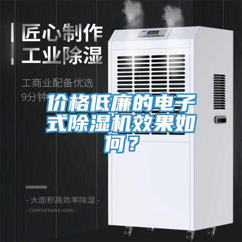 價格低廉的電子式除濕機效果如何？