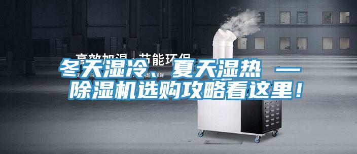 冬天濕冷、夏天濕熱 — 除濕機選購攻略看這里！