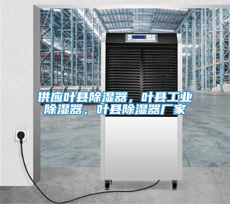 供應(yīng)葉縣除濕器，葉縣工業(yè)除濕器，葉縣除濕器廠家